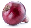 Red onion bulb on the white background. Macro shot. Royalty Free Stock Photo