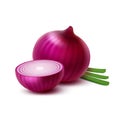 Red Onion Bulbs with Chopped Green Onions Royalty Free Stock Photo