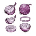 Red onion collection Royalty Free Stock Photo