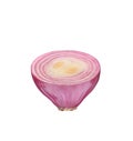 Red onion cut in half one piece isolated on white background with clipping path Royalty Free Stock Photo