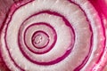 Red Onion Detail Royalty Free Stock Photo