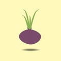 Red onion with fresh green sprout Royalty Free Stock Photo