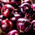 Red onion fresh raw organic vegetable