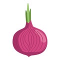 red onion fresh vegetable icon