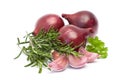 Red onion, garlic and fresh rosemary Royalty Free Stock Photo