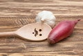 Red onion and garlic Royalty Free Stock Photo