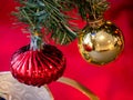 Red onion and golden bauble on Christmas tree brenches