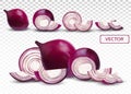 Red onion. Half, piece onion on transparent background. 3d realistic onion. Vector illustration