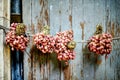 Red Onion hanging on the wall of the house : Closeup