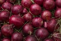 Red onion on hay. Background and texture Royalty Free Stock Photo