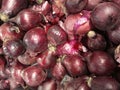 Red onion heads