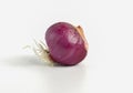 red onion (Hom-Hua-Yai-Se-Dang) or shallots