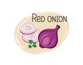 Red onion icon. Full and sliced onion isolated on white background with lettering Red onion. Vegetable stylish drawn symbol onion Royalty Free Stock Photo