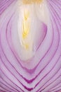 Red Onion Inside Chore Background