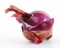 Red onion layers (allium) Royalty Free Stock Photo