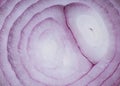 Red Onion Layers Close Up Royalty Free Stock Photo