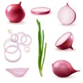 Red Onion Realistic Set