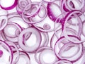 Red Onion rings (close-up shot) Royalty Free Stock Photo