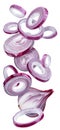 Red onion rings on white background. File contains clipping path Royalty Free Stock Photo