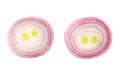 Red onion's cutaway isolated Royalty Free Stock Photo