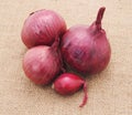 Red onion on sacking.