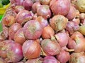 Red Onion on sale