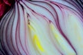 Red onion in section Royalty Free Stock Photo