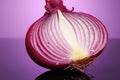 Red onion slice layers, translucent, adorn a reflective pink purple backdrop