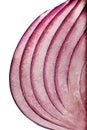 Red Onion Slice Royalty Free Stock Photo