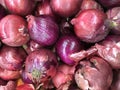 Red Onion Still Life seen at the Market