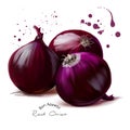 The red onion watercolor painting