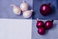 Red and white onion on a background divided into four parts Royalty Free Stock Photo