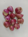 Red onion & x28;Allium cepa L. var. aggregatum& x29; is one of the world& x27;s main cooking spices Royalty Free Stock Photo