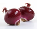 Red onions (allium) Royalty Free Stock Photo