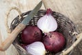 Red onions in a basket with knife Royalty Free Stock Photo