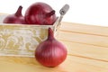 Red onions in basket Royalty Free Stock Photo