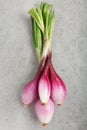 Red onions bunch, Tropea type, on gray stone Royalty Free Stock Photo