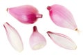 Red onions collection, Tropea type on white Royalty Free Stock Photo