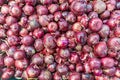 Red onions crop texture, shallots in supermarket for use as a mixture of thai food Royalty Free Stock Photo