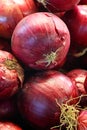 Red onions, are cultivars of the onion Royalty Free Stock Photo