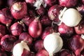 Red onions fruit vegetables freshness vegetarian Royalty Free Stock Photo