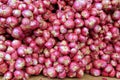 The red onions on the market.