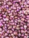 Red Onions are nicely stacked and piled up on this little market