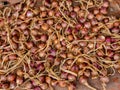 Red onions in plenty. Background Royalty Free Stock Photo