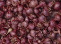 Red onions in plenty texture . Royalty Free Stock Photo