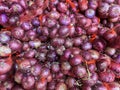 Red Onions or purple onions. Small Indian Onion or Red Indian Onion bags at a Fresh Food Market in India. Royalty Free Stock Photo