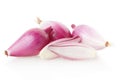 Red onions and section, Tropea type on white Royalty Free Stock Photo