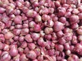 red onions sold by Indonesian traditional market traders Royalty Free Stock Photo