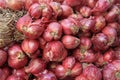 Red onions in Thai market Royalty Free Stock Photo