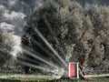 Red open door in the tree. Royalty Free Stock Photo